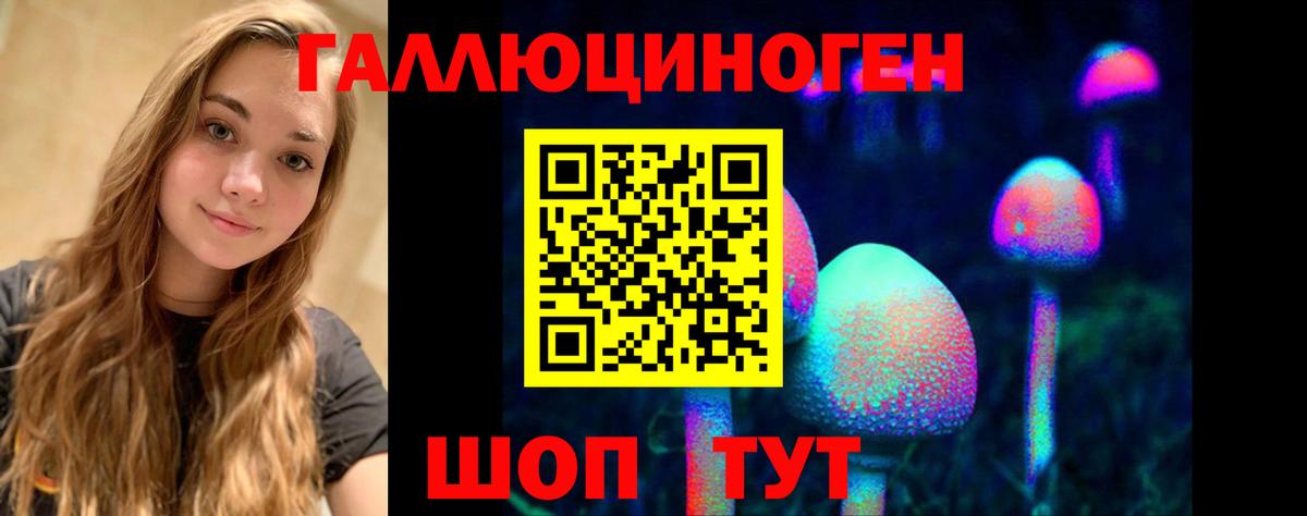Псилоцибиновые грибы мицелий  купить наркотики сайты  Скопин  Вход с VPN 